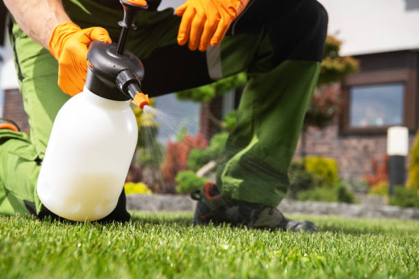 Best Wildlife Control Services  in Martinez, CA