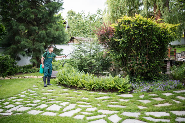Best Bird Control  in Martinez, CA