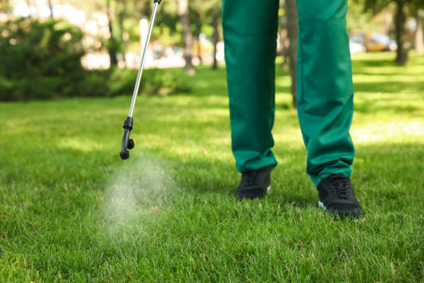 Best Best Pest Control Companies  in Martinez, CA
