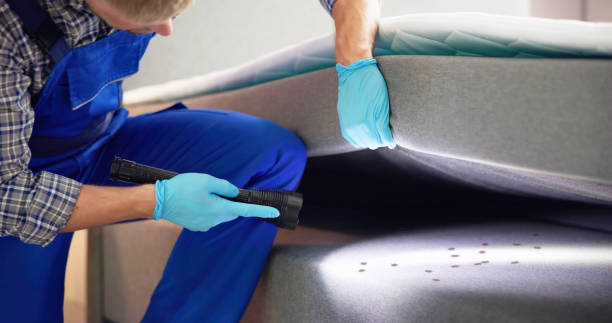 Pest Control for Restaurants in Martinez, CA