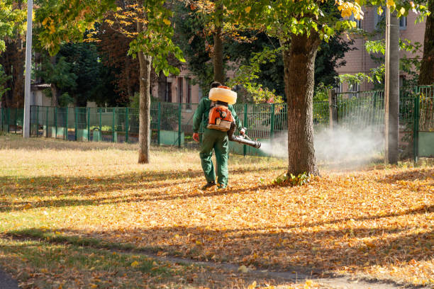Best Pest Control Near Me in Martinez, CA