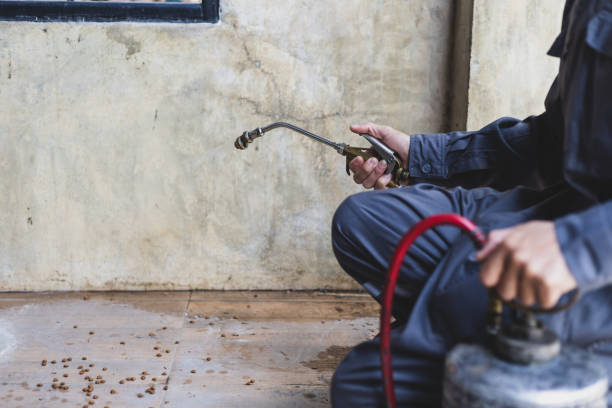 Best Pest Control Near Me  in Martinez, CA