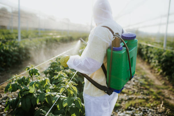 Best Affordable Exterminators  in Martinez, CA